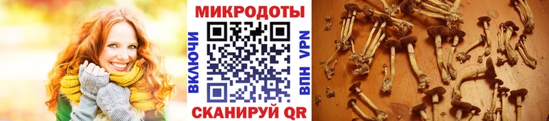 Галлюциногенные грибы GOLDEN TEACHER  Вяземский 
